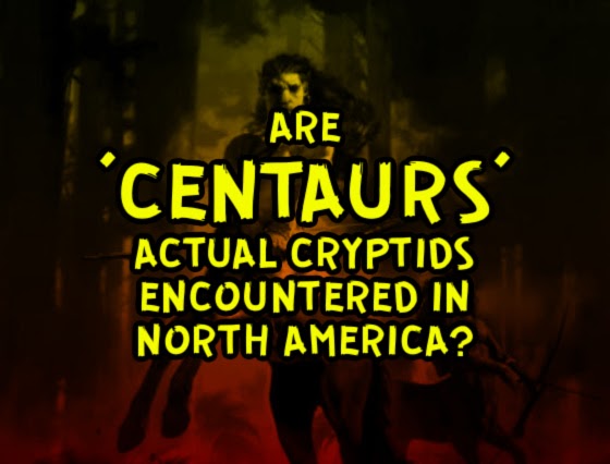 Are ‘Centaurs’ Actual Cryptids Encountered In North America?